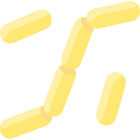 Bacteria icon