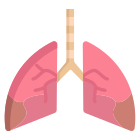 Lung icon