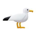 Seagull icon