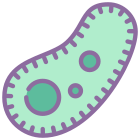 Bacteria icon