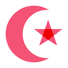 Moon Star icon