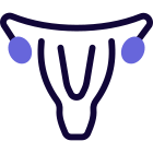 Uterus color image isolated on a white background icon