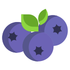 外部-蓝莓-素食-icongeek26-平-icongeek26 icon