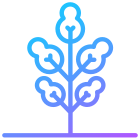 tree 11 icon