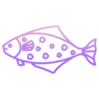 Hailbut Fish icon