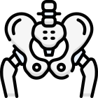 Pelvis icon