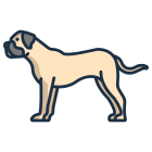 Bullmastiff icon