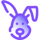 Anno del coniglio icon
