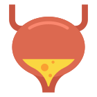 Bladder icon