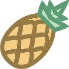 菠萝 icon