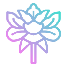 Peony icon