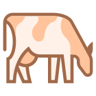 Cow Breed icon