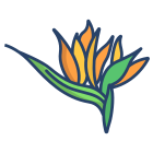 Strelitzia icon