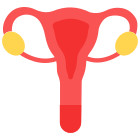 Uterus icon