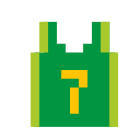 Vest icon