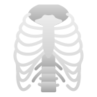 Ribs icon