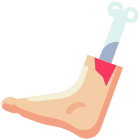 Foot Bone icon