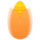 Corn icon