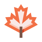 Maple leaf icon