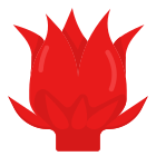 Hibiscus icon