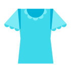 Womens Blouse icon