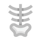 Pelvis icon