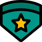 Double emblem with star insignia badge for high ranking officer icon