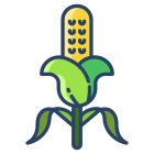 Corn icon