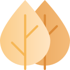 foliage icon