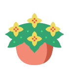 Begonia icon