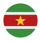 circular-de-surinam icon