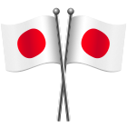 bandeiras cruzadas icon