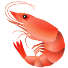 Shrimp icon