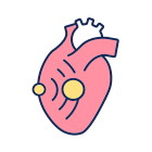Echocardiographic Test icon