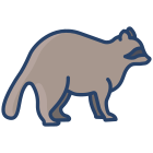 Raccoon icon