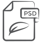 Psd File icon