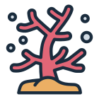 Coral icon