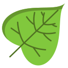 Catalpa Leaf icon