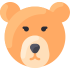 Bär icon