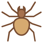 Spider icon