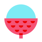 lychee icon