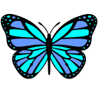 Blue Buttefly icon