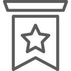 Insignia icon