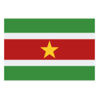 Surinam icon