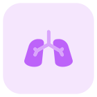 Respiratory system and infection control disease with lungs layout icon