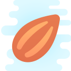 Almond icon