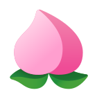 Chinese Peach icon