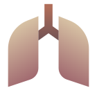 Pulmones icon