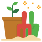 Seed icon