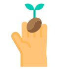 Coffee Seed icon